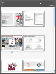 009b_larger_page_thumbs