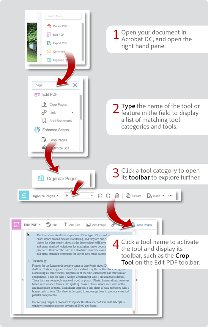 How to use the Tools Search in Acrobat DC